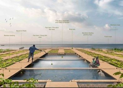 Aqua-Pura Farms 'Floating Farms'